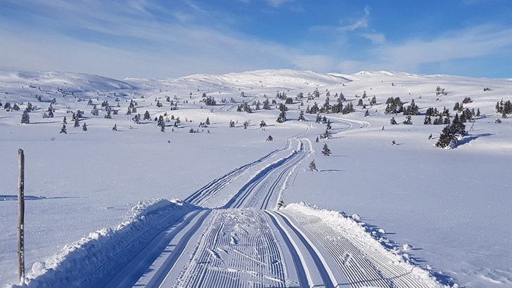 Eventyrlig vinter ga omsetningsvekst hos sportskjedene med mer enn 10 prosent.