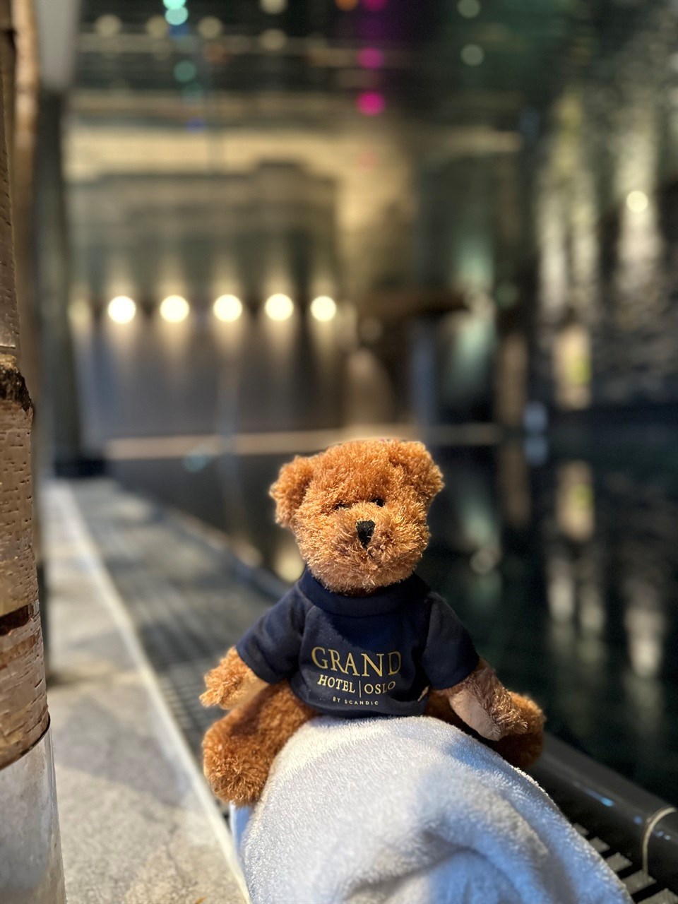 Teddy bear in Spa at Grand Hotel Oslo
