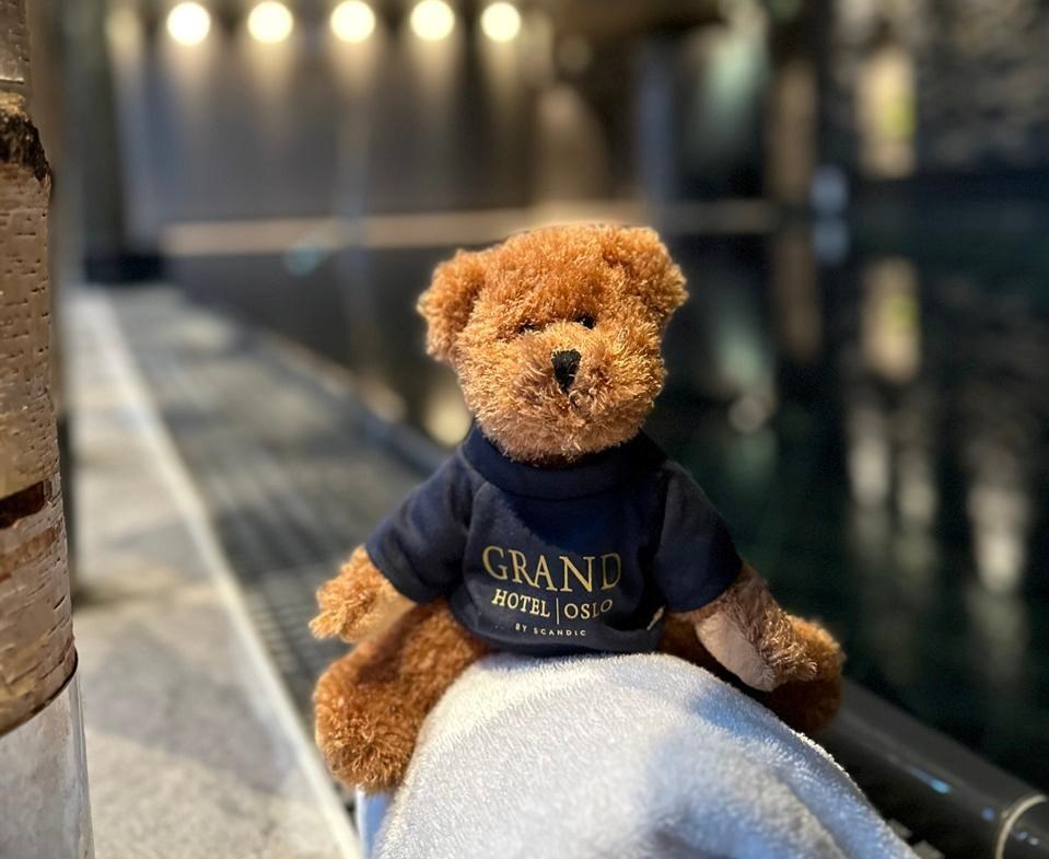 Bamse ved basseng på Grand Hotel Oslo