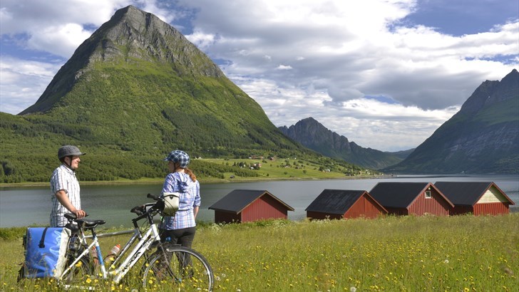 ØKT SYKKELTURISME: Sykkelturismen øker i store deler av Norge, og spesielt i Nord-Norge – muligens som en følge av Arctic Race. Her fra Helgelandskysten.

