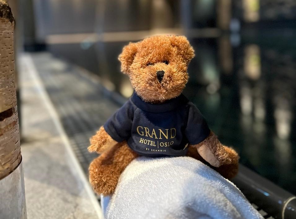 Teddy bear in Spa at Grand Hotel Oslo